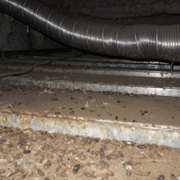 �N�}�l�Y�~�V�䗠���Q